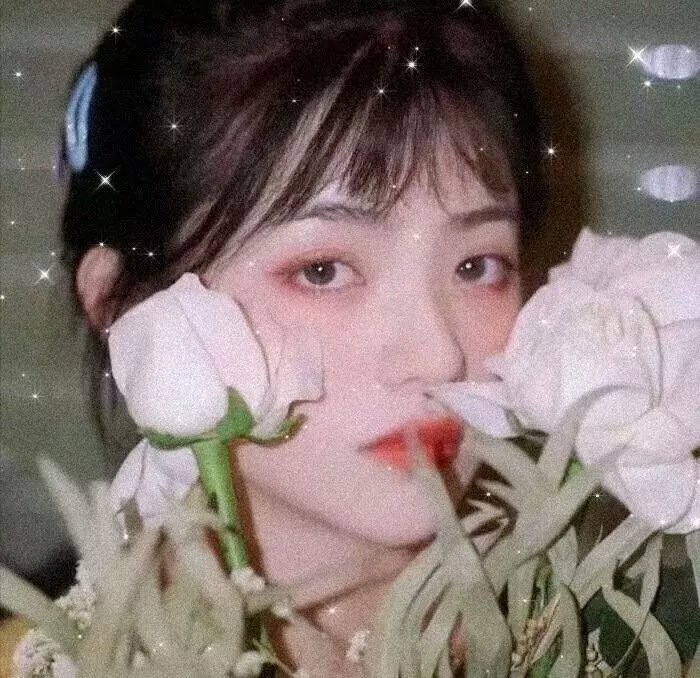 鹰巢